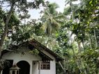 Hikkaduwa, Seenigama Raod 43 Perches of Land with an Old House for Sale