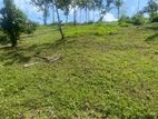 Hikkaduwa Tourist Area Land for Sale