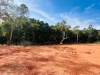 Hikkaduwa Tourist Zone – Valuable Land for Sale | 500m to Galle Road