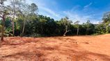 Hikkaduwa Tourist Zone – Valuable Land for Sale | 500m to Galle Road