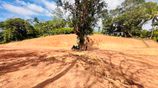 Hikkaduwa Tourist Zone – Valuable Land for Sale | 500m to Galle Road