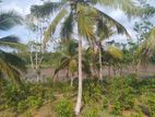 හික්කඩුව ගෝනපීනුවල පාරෙන් බිම් කොටස්
