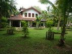 Hikkkaduwa Villa with Coconut Land for Sale