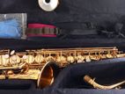 Hilax Alto Saxophone
