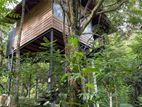 Hillside Property with cottages for Sale — Belihuloya, Balangoda