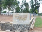 Hirana Lands For Sale