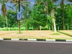 හිරිකැටියට අසන්නයෙන් ඉඩම්