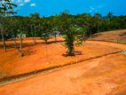 Hirikatiya Dikwella Beach Side Land For Sale