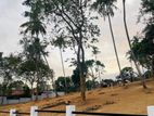 Hiriketiya Beach Face Land Plot