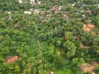Hiriketiya Beach Face Land Plot