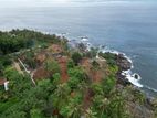 Hiriketiya Beach Face Land Plot