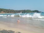 Hiriketiya beach face land plot