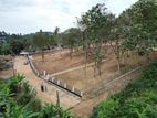 Hiriketiya Beach Front Land Plot