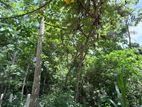 Hiriketiya Land for Sale