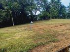හිරණ පානදුර බස් පාරට 600m හොඳ ඉඩමක්