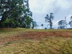 හිරණ පාරට ඇවිදින දුරින් හොඳම තැනක්