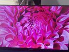 Hisense LED