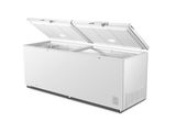 Hisense 701 Liter Hard Top Chest Freezer