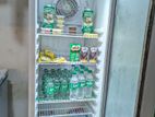 Hisense Bottle Cooler 222 L