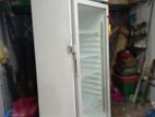 Hisense Bottle Cooler