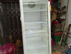 Hisense Bottle Cooler