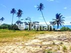 (HJ 19) Beach Facing 200P Land Sale At Rekawa Tangalle