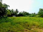 (HJ 81) 100 P Bare Land For Sale At Hunupitiya Wattala