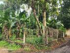 HJS113 - Valuable Land for Sale in Gampaha City