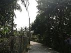 (HL141) 10 Perch Bare Land For Sale in Gonawala, Kelaniya