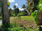 (HL167) 40 Perch Bare Land For Rent in Maharagama