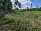 (HL175) 25 Perch Land For Sale in Homagama