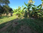 (HL235) 12 Perch Land for Sale in Pahala Karagahamuna
