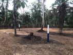 (HL291) 33 Perch Land for Sale in Weliweriya