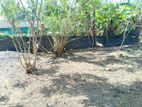 (HL311) 31 Perch Land for Sale in Nawalapitiya