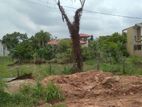 HL36407 - 12 Perches of Residential Land for Sale in Nawala
