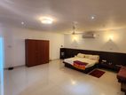 HL37806 - 04 Bathrooms Modern House for Rent in Colombo 03