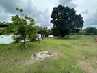 HL39520 - 277 Perches of Land for Sale in Pannipitiya