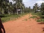 හලාවත බිංගිරියෙන් ඉඩම් කොටස් විකිණීමට