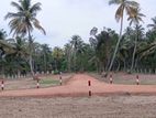 හලාවත ඉඩමක්