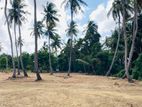 හලාවත - කොළඹ පාරට 1.5km දුරින් සින්නක්කර බිම් කොටස්