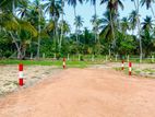 හලාවත නගරයට නුදුරින් පදිංචියට සුපිරි ඉඩමක්