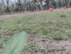 හලාවත පම්බල අගනා නේවාසික බිම් කොටස්