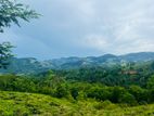 හන්තාන කදු පෙනෙන මානයේ දොලුව ඉඩමක්