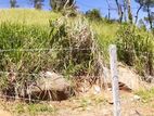 Land for Sale at Hanthana