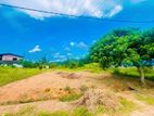 🌾 හන්වැල්ල ආටිගලින් prime Lands බිම් කොටසක් / AJ 10158
