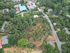 හංවැල්ල බස් පාරෙන්ම වටිනා ඉඩමක් විකිණීමට ඇත
