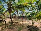 හංවැල්ල ජයවීරගොඩ ප්‍රදේශයෙන් පර් : 17 ක වටිනා බිම්කොටස් 2 ක් විකිණීමට