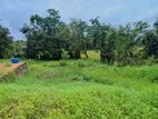 හංවැල්ල තිත්තපත්තර පර්චස්10 ක ඉඩම