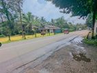 🏡✨ හංවැල්ල තිත්තපත්තර පර්චස්10 ක වටිනා ඉඩම