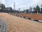 හොදම තැනක ඉඩමක් පානදුර, පරත්ත පාර. Y31